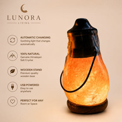 Premium Himalayan Salt Crystal LED Lamp With Stand