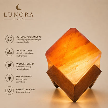Premium Himalayan Salt Crystal LED Lamp With Stand