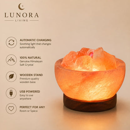 Premium Himalayan Salt Crystal LED Lamp With Stand
